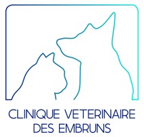 SARL de vétérinaire des écureuils - Clinique vétérinaire des Embruns
